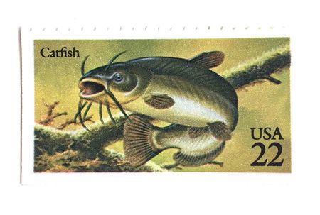 100 Catfish Postage Stamps Unused Vintage Green Lake Fishing Stamps for Mailing